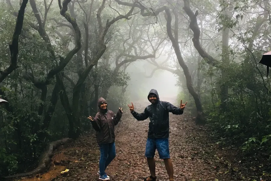 Jyotishman hiking through a misty forest